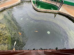 8 Boulevard Mactan Newtown