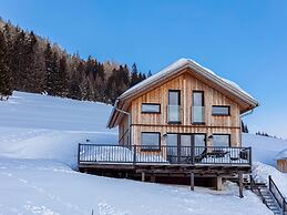 Superior Chalet in Hohentauern Near Ski-slope