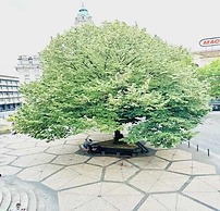 Fantasy Hostel Porto