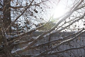 STARRY SKY COTTAGE 13