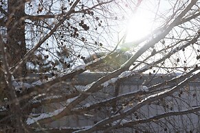 STARRY SKY COTTAGE 15