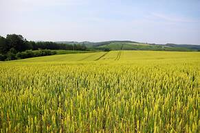 STARRY SKY COTTAGE 17