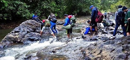 Anandvan Jungle Resort