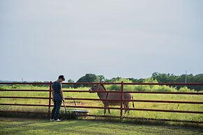 Peaceful Luxurious Ranch Family Reunion