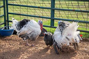 Peaceful Luxurious Ranch Family Reunion