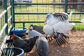 Peaceful Luxurious Ranch Family Reunion