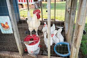 Peaceful Luxurious Ranch Family Reunion