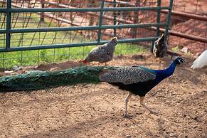 Peaceful Luxurious Ranch Family Reunion