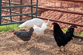 Peaceful Luxurious Ranch Family Reunion