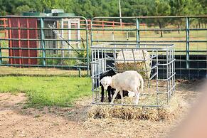 Peaceful Luxurious Ranch Family Reunion