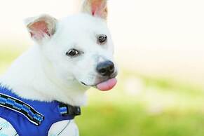 Ponta Village Karuizawa