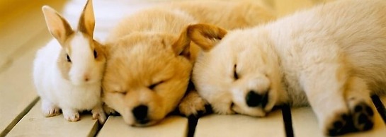 Ponta Village Karuizawa