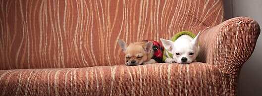 Ponta Village Karuizawa