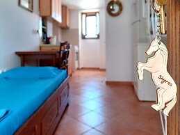 Skyros BnB Little Horse in Skyros Town