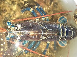 Escape the Ordinary - Dorset Village Vacation