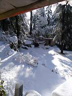 Mastiff Select Mandavya Dharamkot