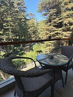 Mastiff Select Mandavya Dharamkot