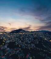 Mastiff Select Mandavya Dharamkot