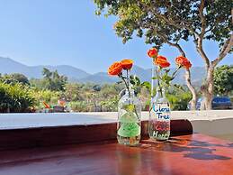 Cloud Tree Inn XiChong ShenZhen-YunShuLi