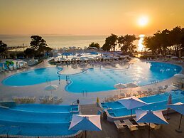 Zaton Resort Apts. With Pool