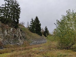Doppelhaushalfte in Hasselfelde