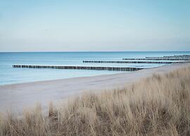 Ferienwohnung in Zingst
