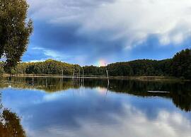 Studio in Buchholz am Mueritzsee