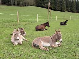 Rossweid hut With a Fantastic View