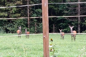 Rossweid hut With a Fantastic View