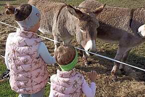 Rossweid hut With a Fantastic View