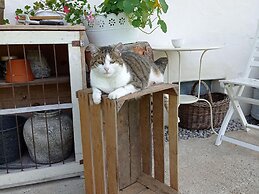 Rossweid hut With a Fantastic View