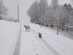 Rossweid hut With a Fantastic View