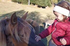 Rossweid hut With a Fantastic View