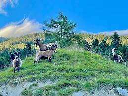 Rossweid hut With a Fantastic View