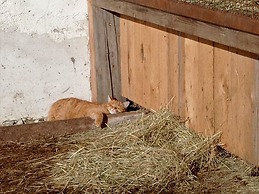 Rossweid hut With a Fantastic View