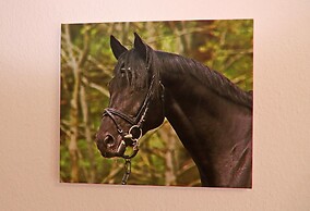 Ferienhaus mit Grosser Terrasse am Garder See