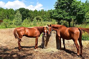 Ferienhaus mit Grosser Terrasse am Garder See