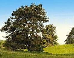Ferienhaus mit Grosser Terrasse am Garder See