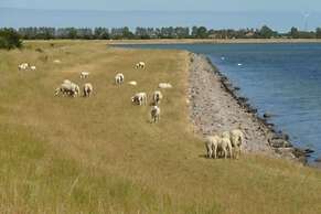 Apartment in Orth Near Baltic Sea