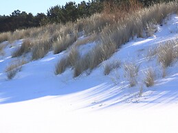 Doppelhaushaelfte Duenenhaus I, Trassenheide