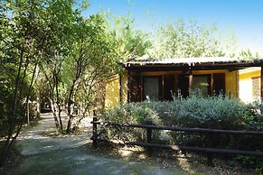 Bungalow in Castiglione Della Pescaia With Sauna