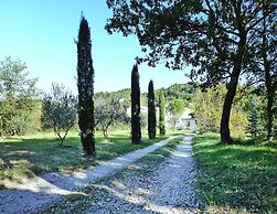 Apartment in Malauctne With Garden