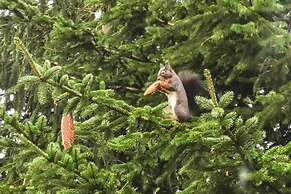Ferienwohnung mit Weitem Ausblick in Altenau