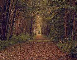 Apartment Weitblick in Schlagsdorf
