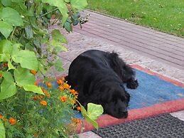 Beautiful Holiday Home, Peace and Quiet, Polanow