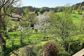 Ferienwohnung in Viechtach