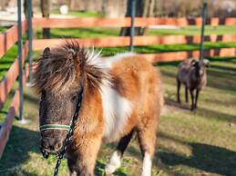 Air-conditioned Apartments, Pool, Sauna, Niechorze
