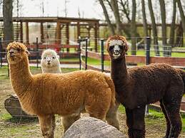 Air-conditioned Apartments, Pool, Sauna, Niechorze