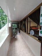 Cool Waters Jungle Camping