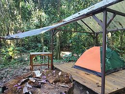 Cool Waters Jungle Camping